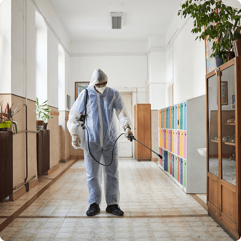 Person disinfecting school hallway in protective suit