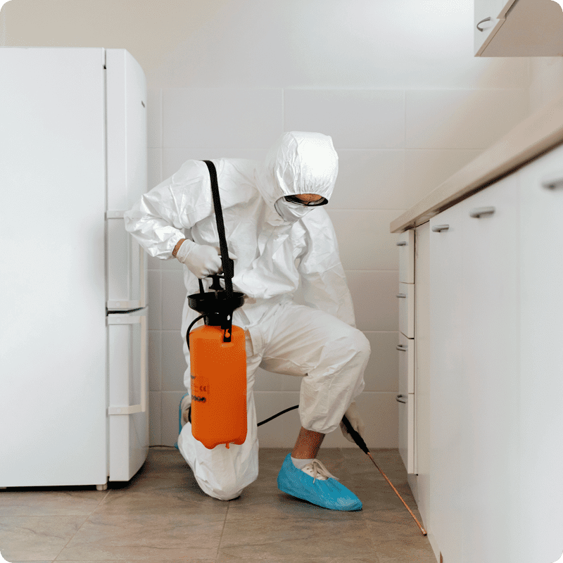 Exterminator spraying kitchen for pests