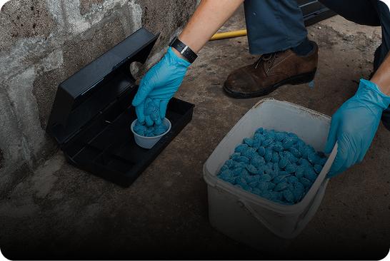 A person placing a blue-gloved hand into a black container near a bucket of blue pellets.